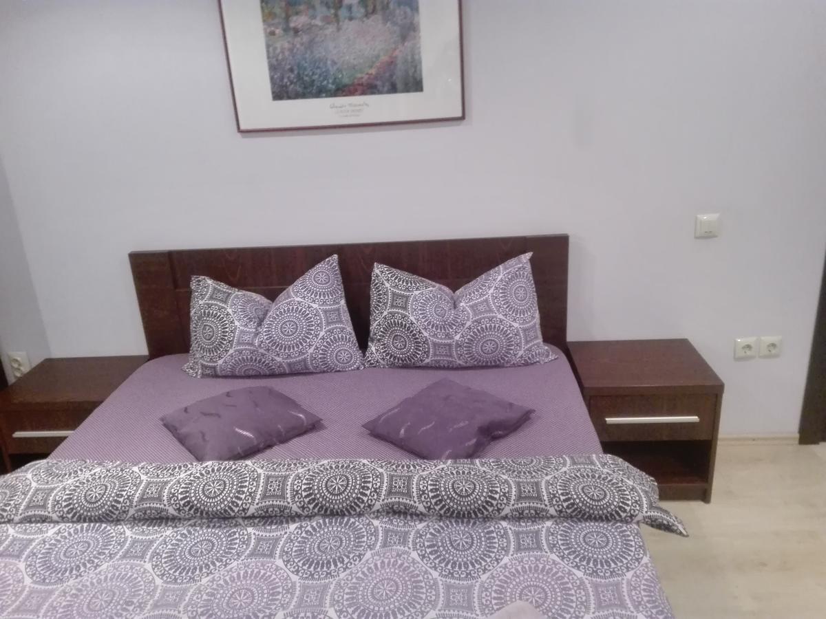 Casa De Vacanta Silvia Vărmaga Rum bild