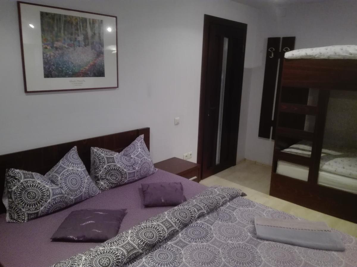 Casa De Vacanta Silvia Vărmaga Rum bild