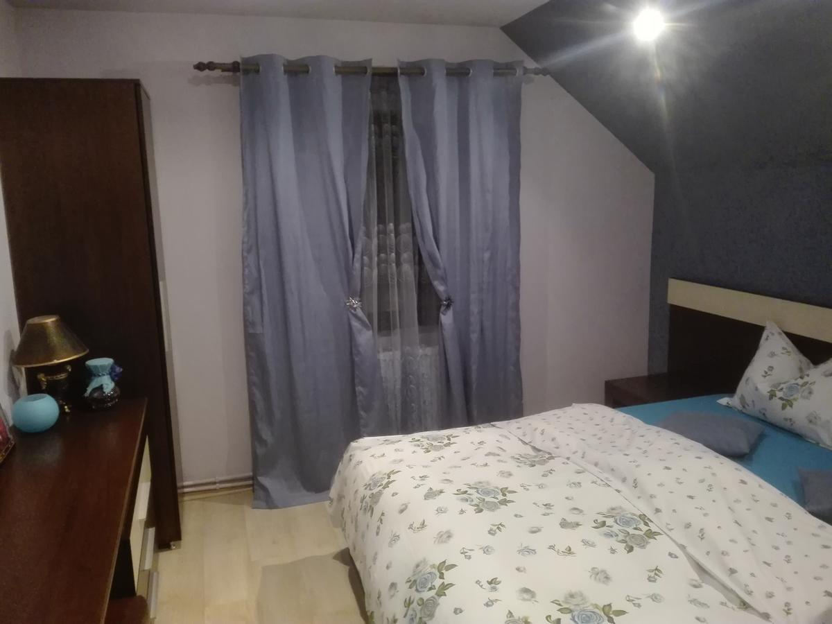 Casa De Vacanta Silvia Vărmaga Rum bild