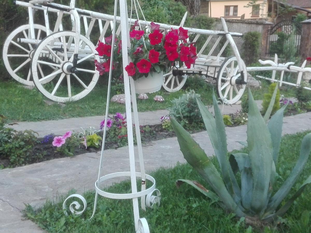 Casa De Vacanta Silvia Vărmaga Exteriör bild