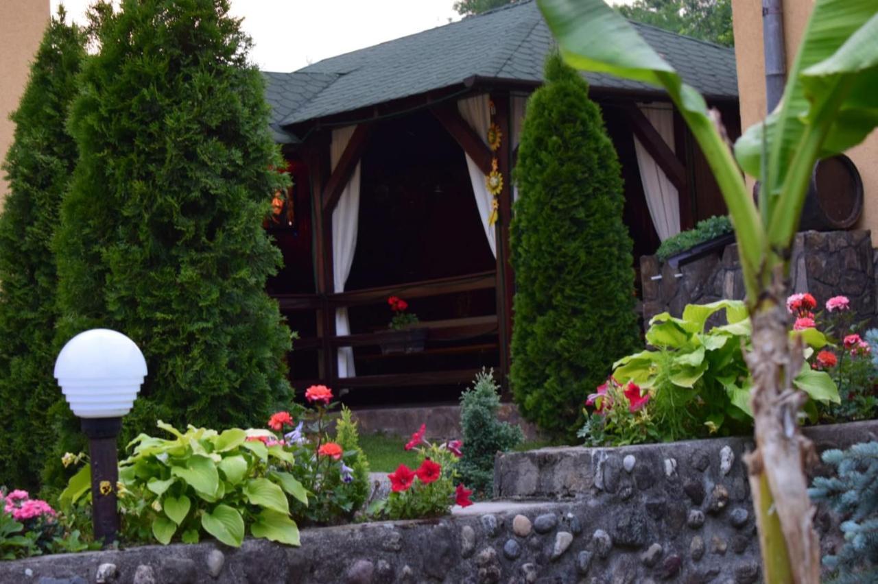 Casa De Vacanta Silvia Vărmaga Exteriör bild